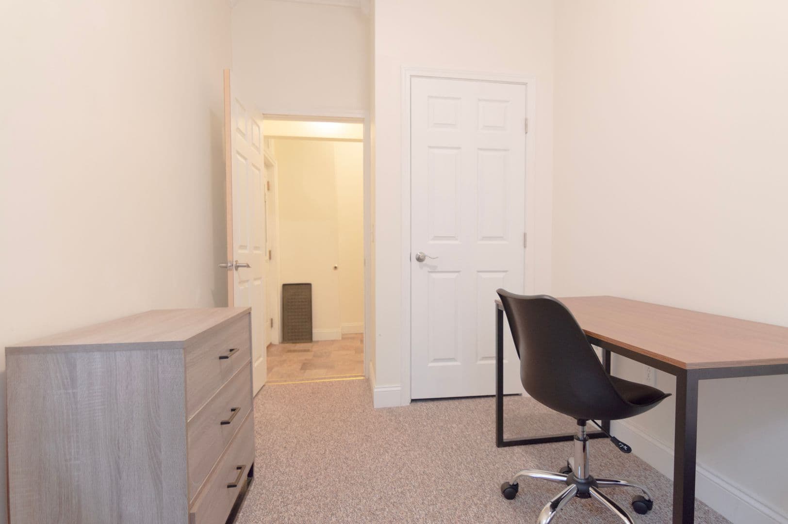 Ithaca Apartment: 232 S Geneva St