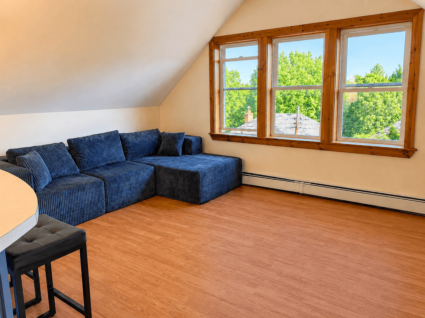 ithaca Apartment: 213-215 Columbia St
