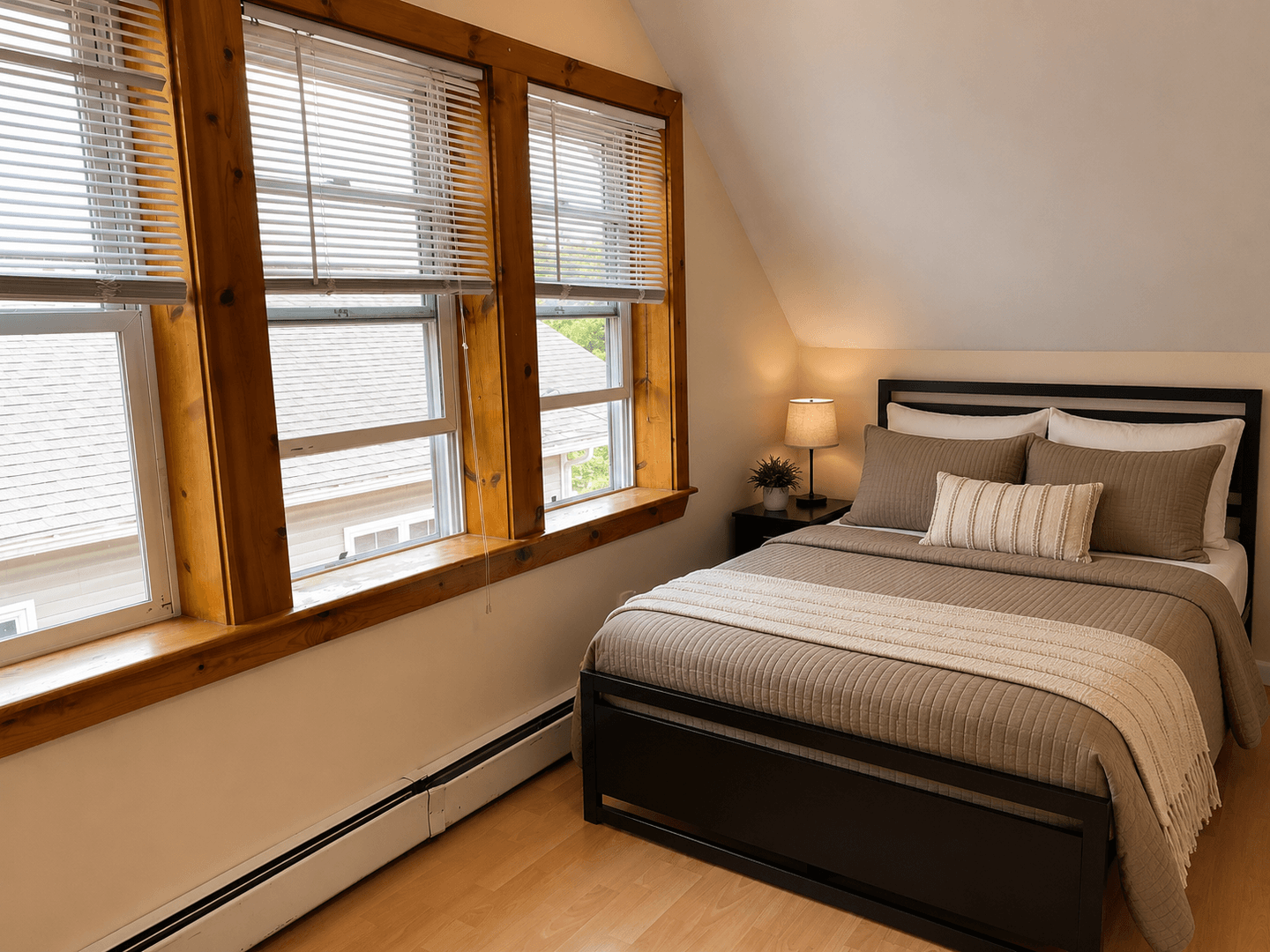 ithaca Apartment: 213-215 Columbia St