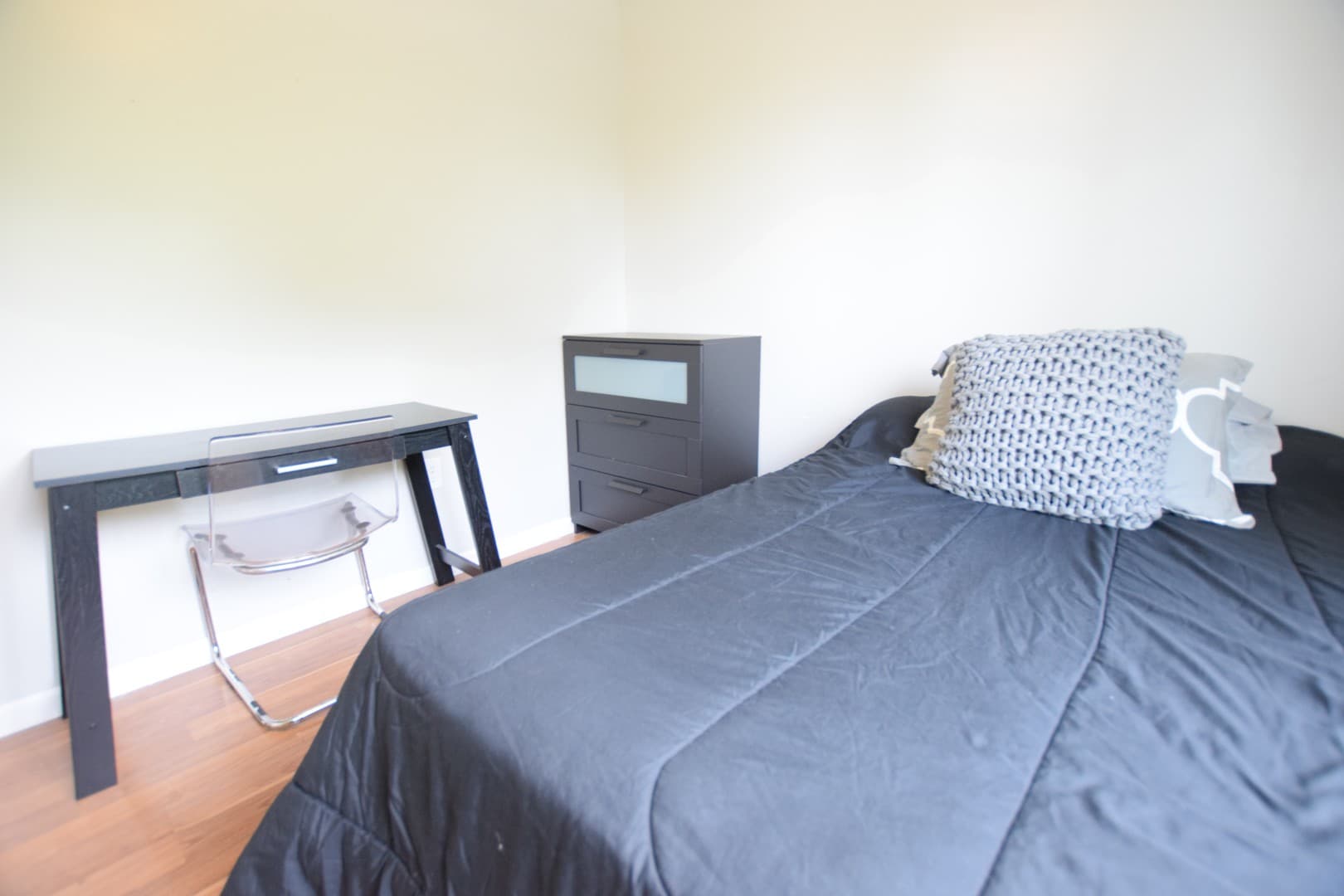 Ithaca Apartment: 605 S Aurora St