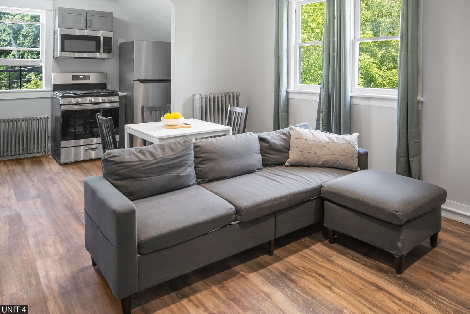 Ithaca Apartment: 109 Williams St