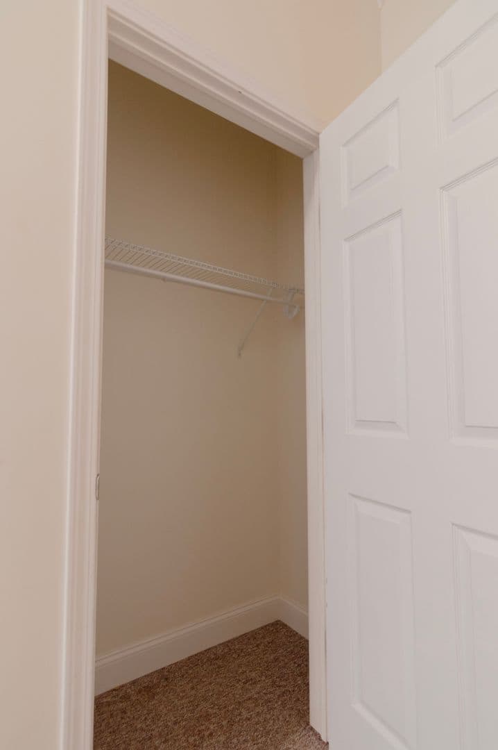Ithaca Apartment: 232 S Geneva St