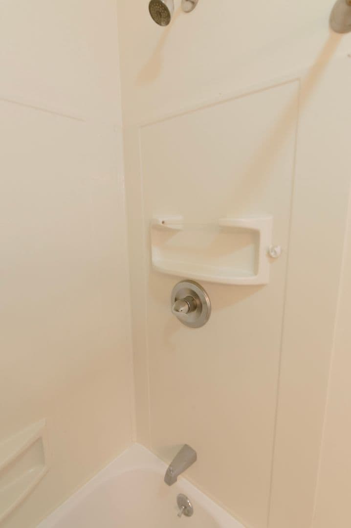 Ithaca Apartment: 232 S Geneva St