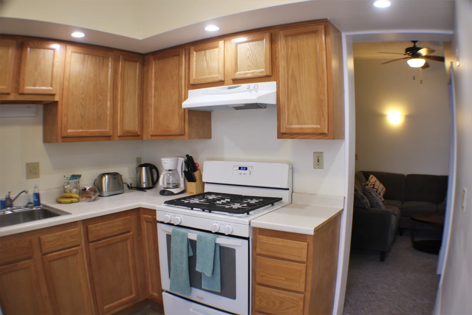 Ithaca Apartment: 232 S Geneva St