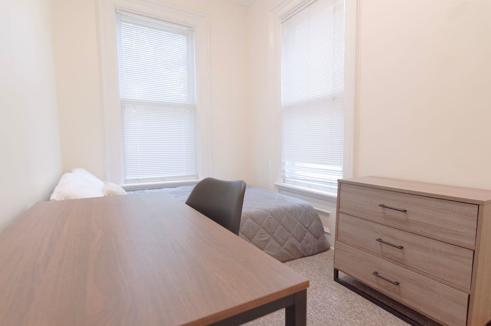 Ithaca Apartment: 232 S Geneva St