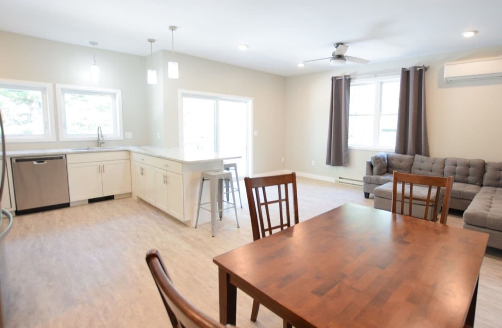Ithaca Apartment: 217 Columbia St.