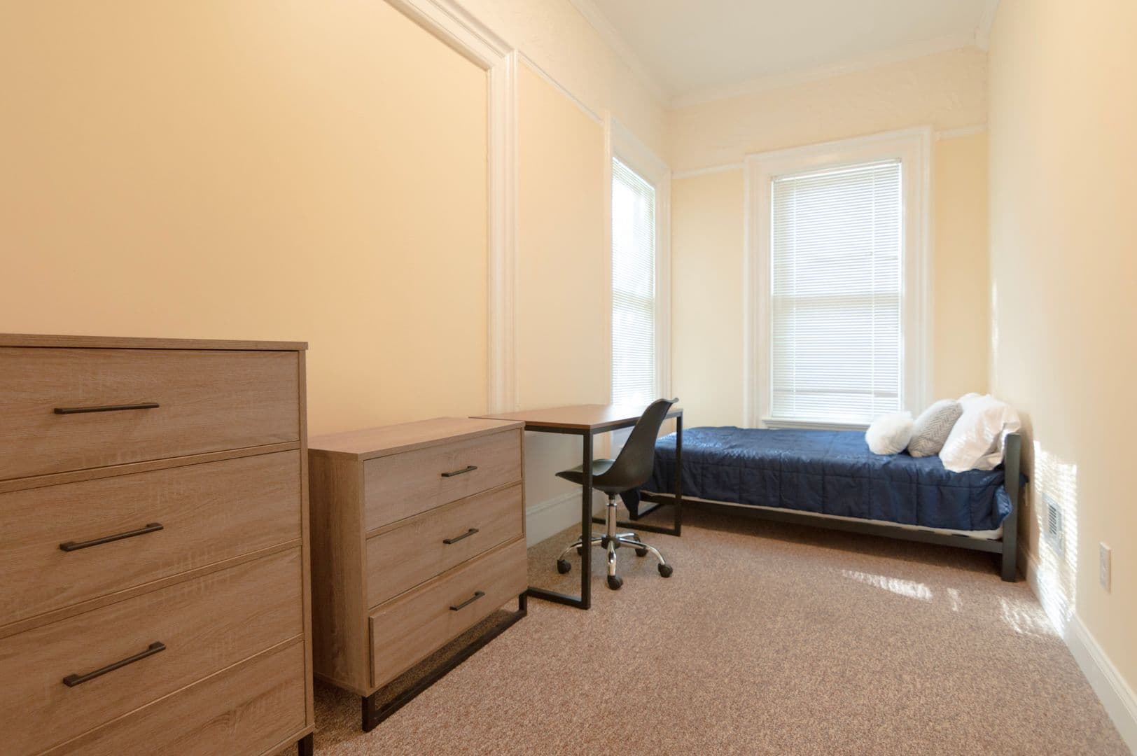 Ithaca Apartment: 232 S Geneva St