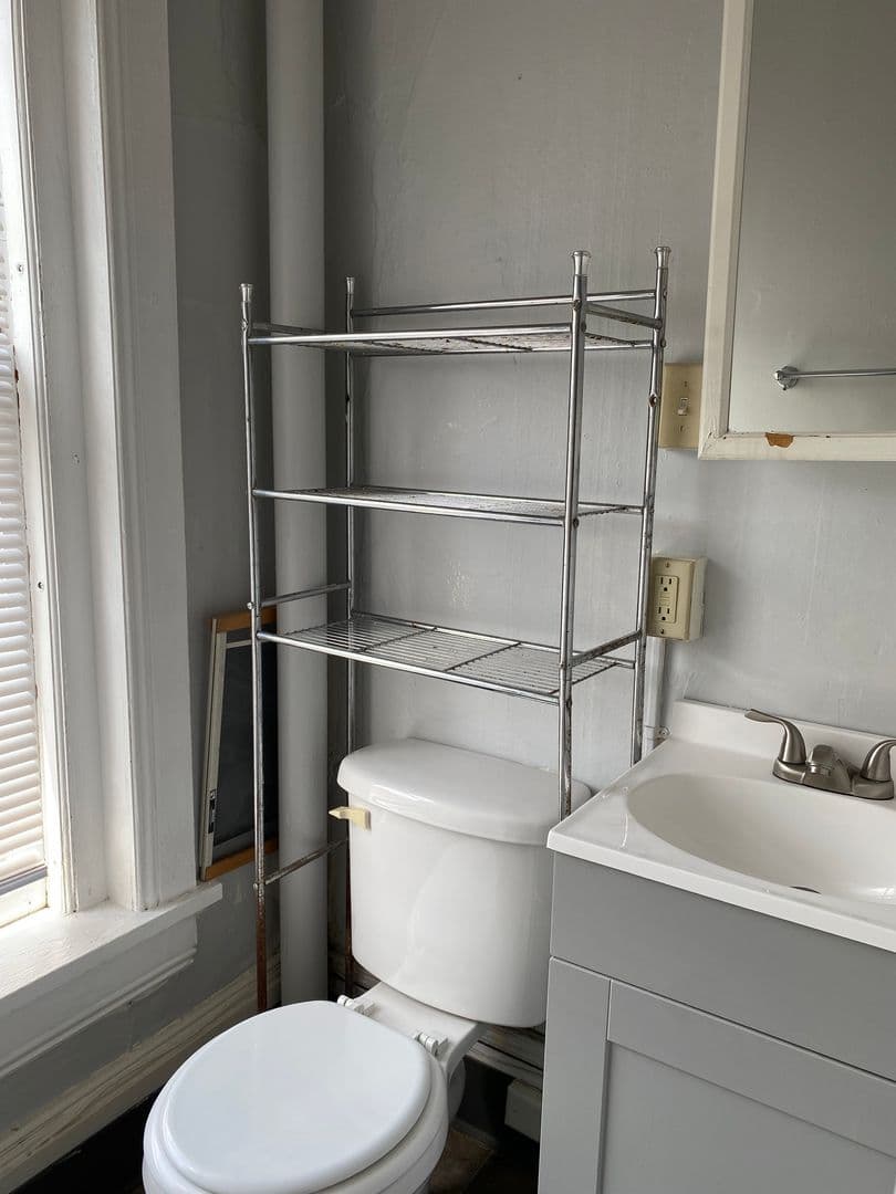 Ithaca Apartment: 308 E Seneca St