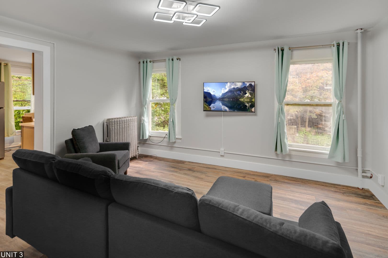 Ithaca Apartment: 109 Williams St