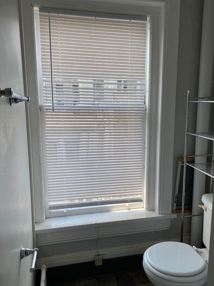 Ithaca Apartment: 308 E Seneca St