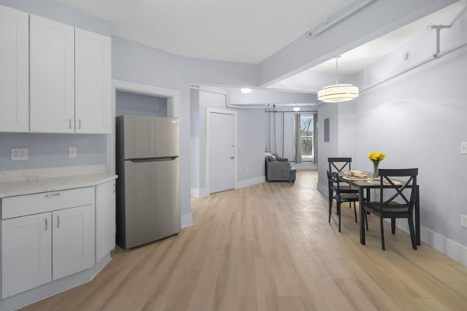 ithaca Apartment: 401-403 College Ave