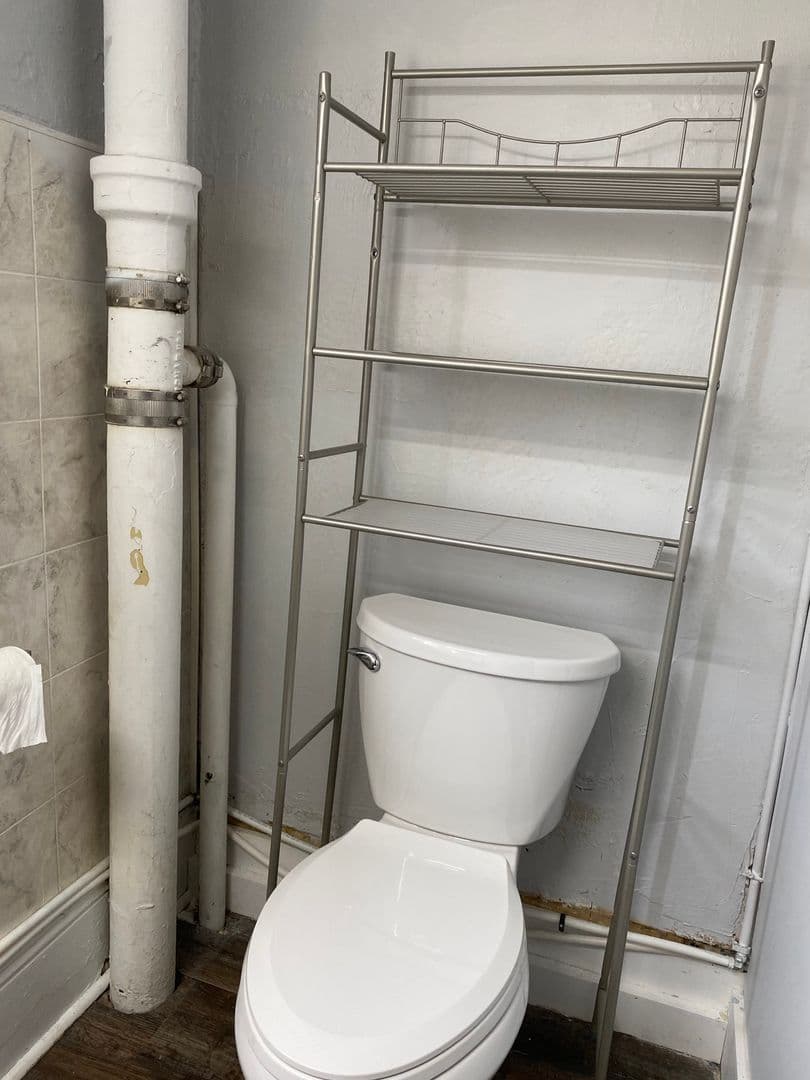 Ithaca Apartment: 308 E Seneca St