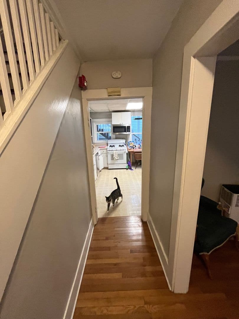 Ithaca Apartment: 414 E Marshall St