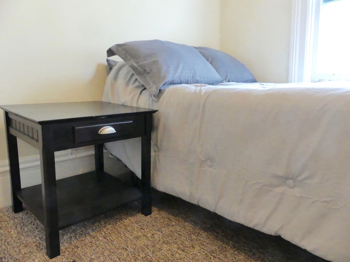 Ithaca Apartment: 232 S Geneva St