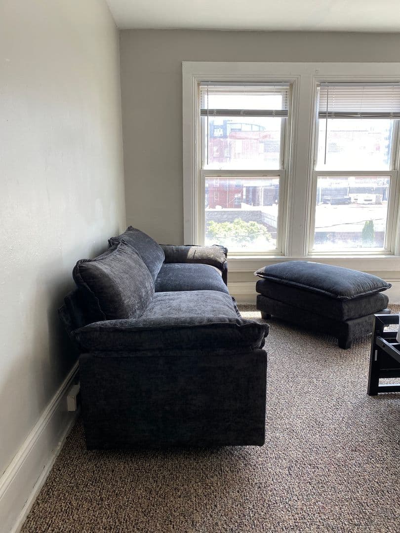 Ithaca Apartment: 308 E Seneca St