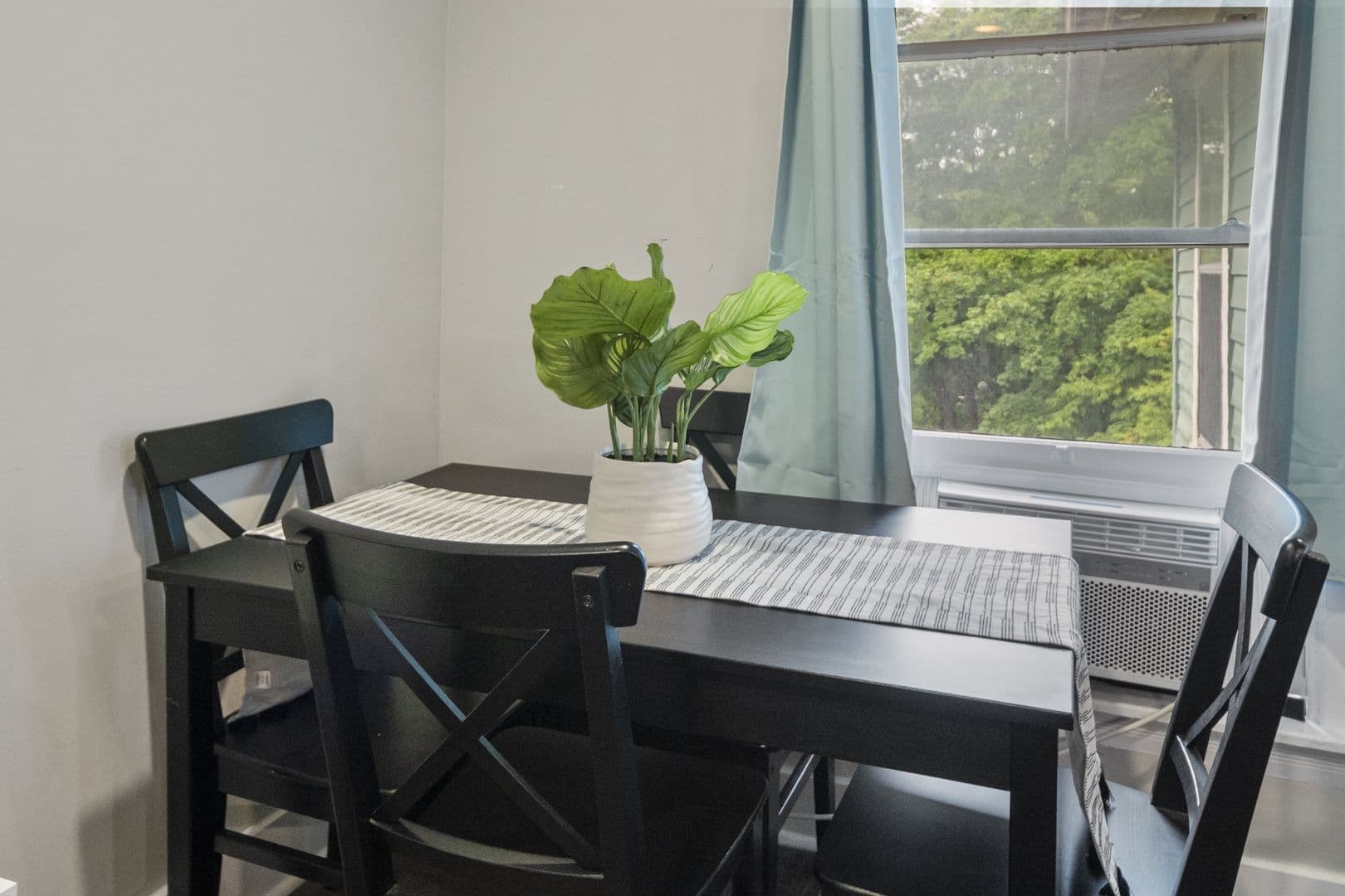 Ithaca Apartment: 110-113 Stewart Ave