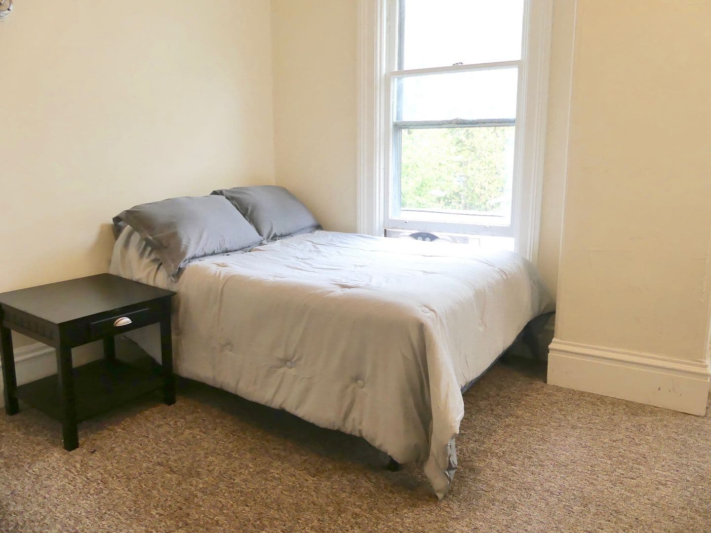 Ithaca Apartment: 232 S Geneva St