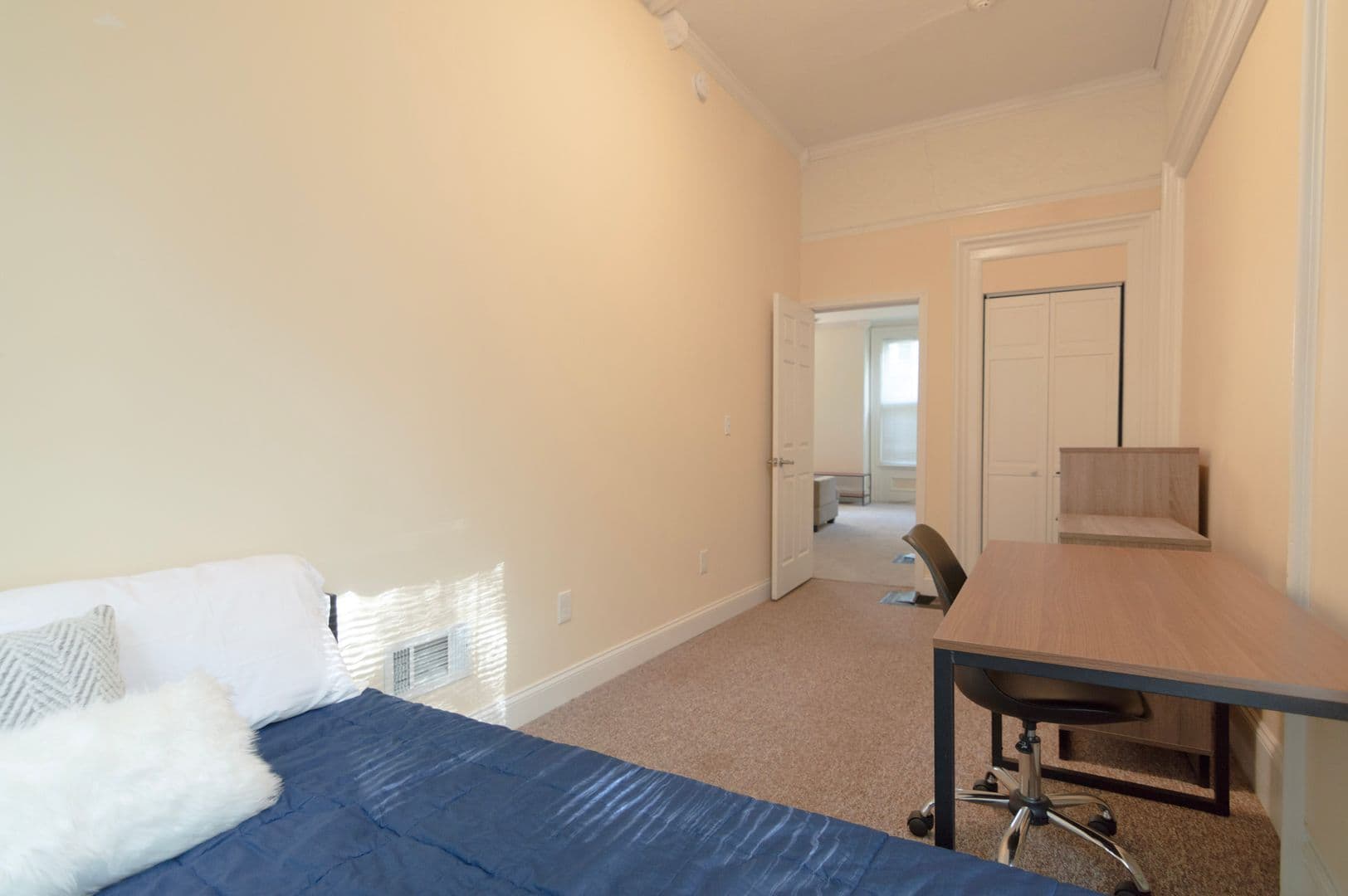 Ithaca Apartment: 232 S Geneva St