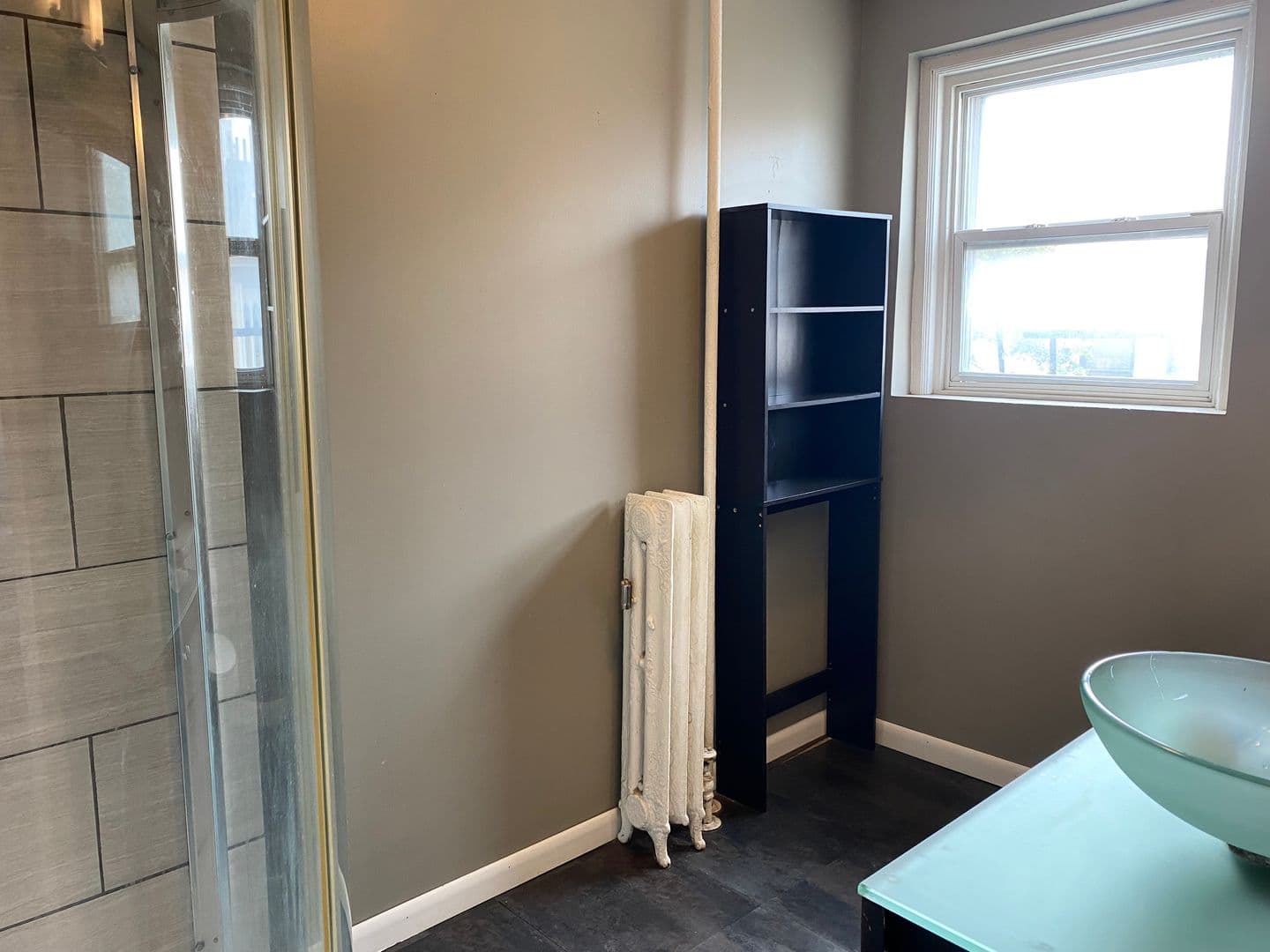 Ithaca Apartment: 308 E Seneca St