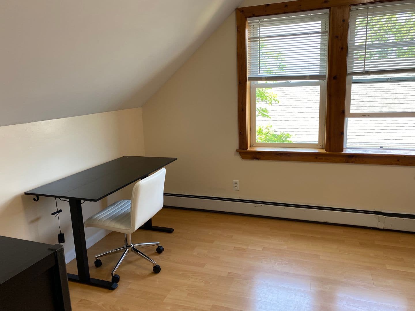 ithaca Apartment: 213-215 Columbia St