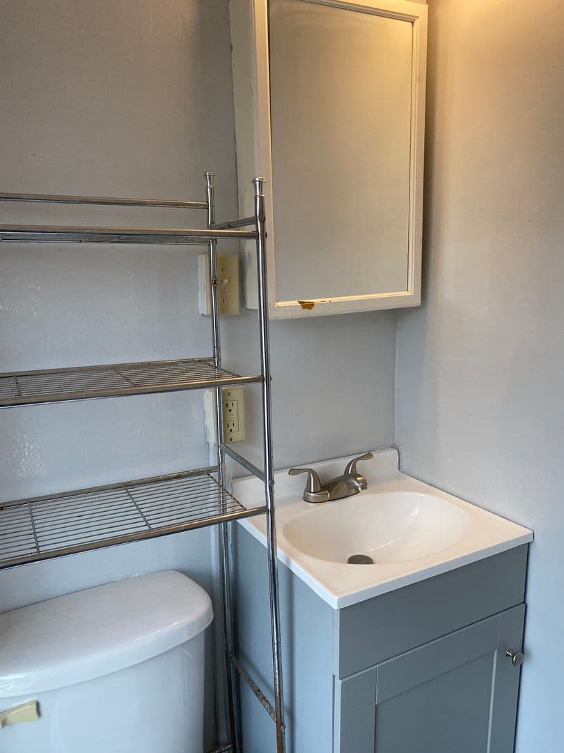 Ithaca Apartment: 308 E Seneca St