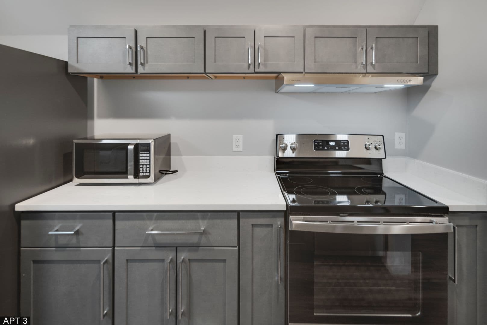 Ithaca Apartment: 711 E Seneca St