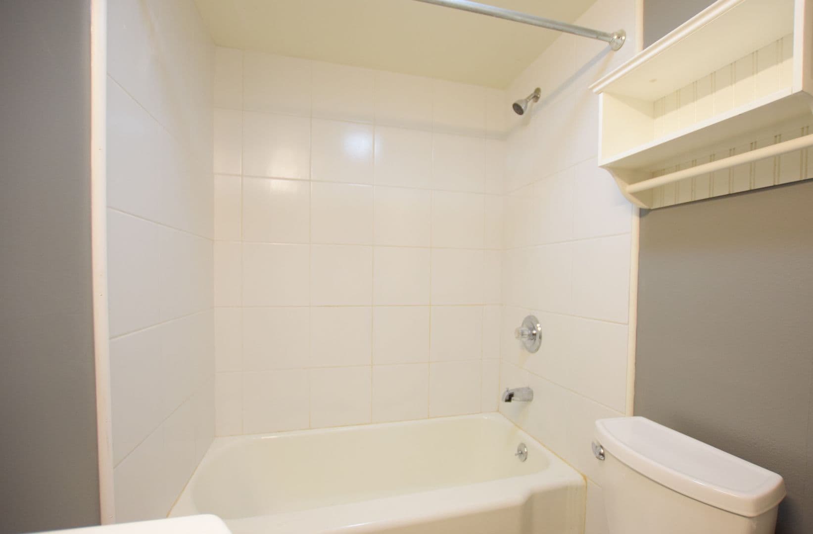 Ithaca Apartment: 217 Columbia St.