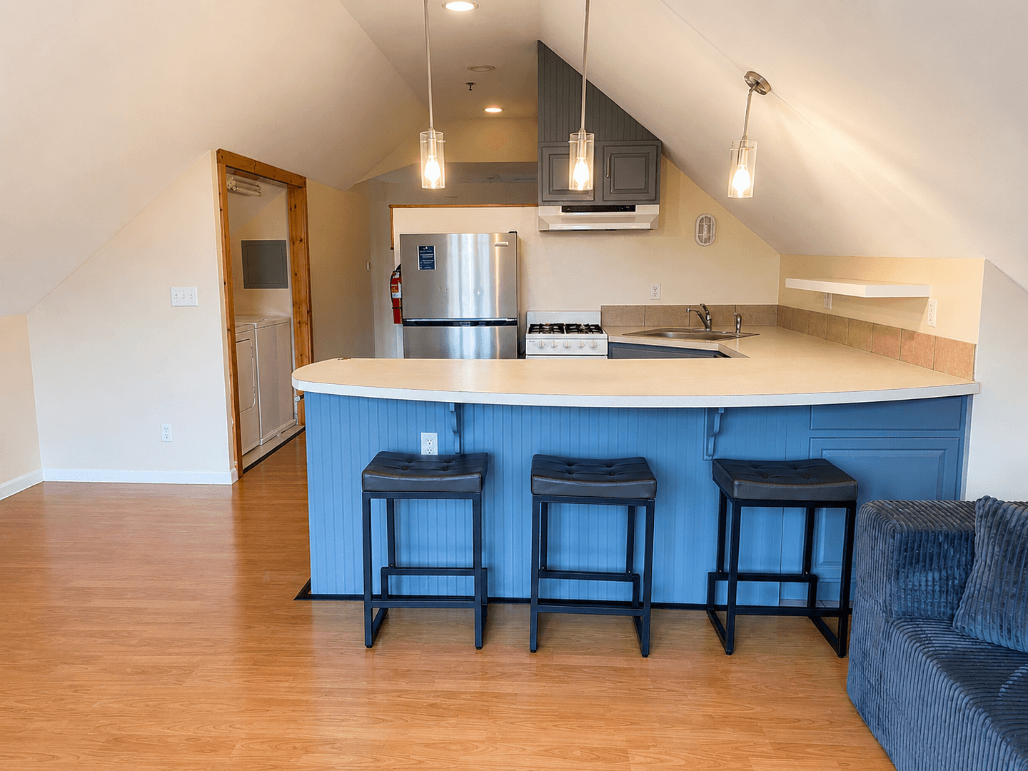 ithaca Apartment: 213-215 Columbia St