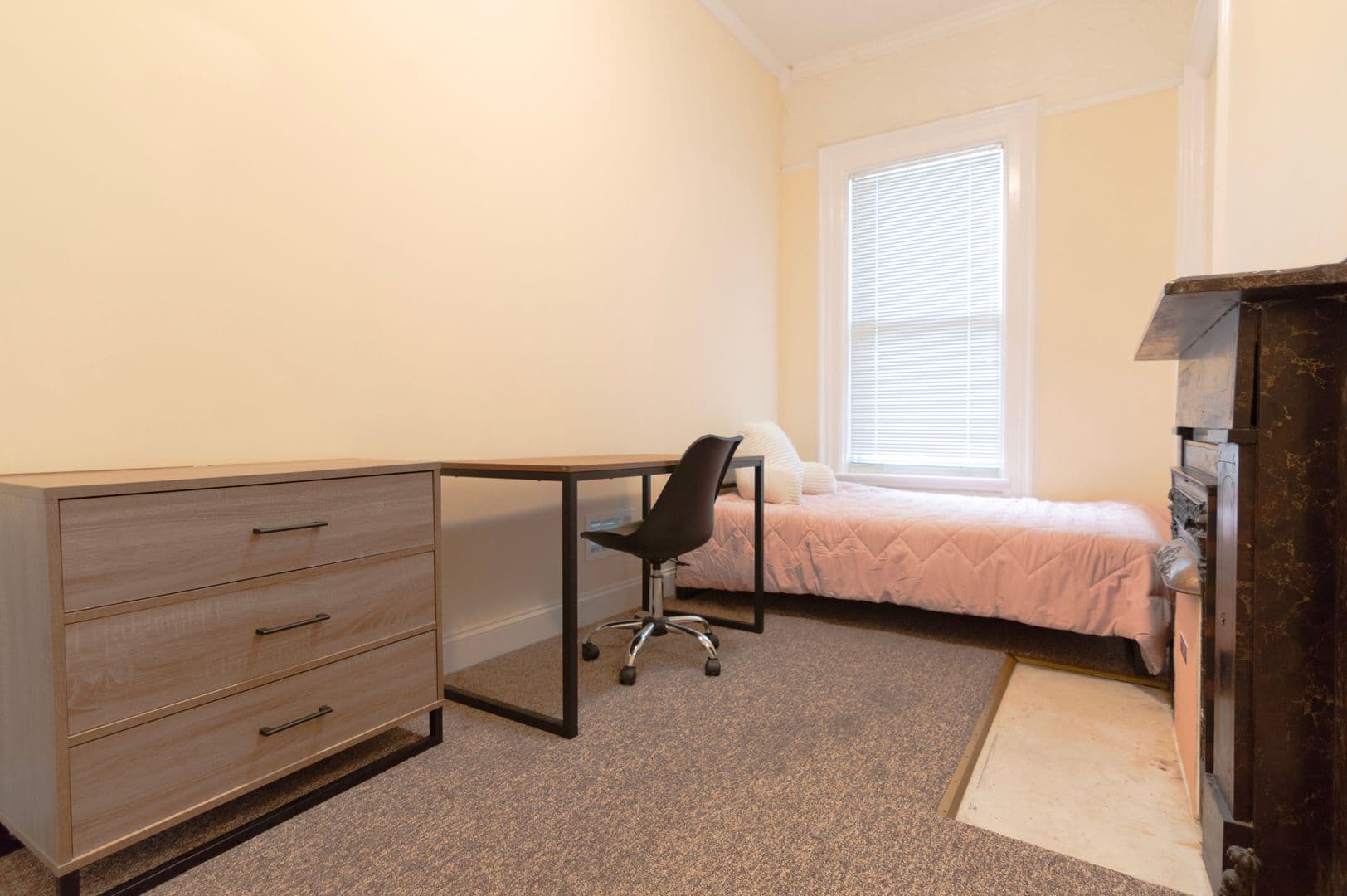 Ithaca Apartment: 232 S Geneva St
