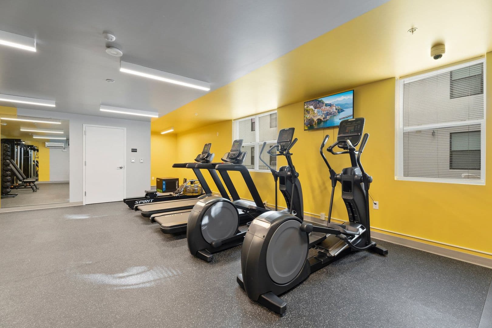 Ithaca Apartment: 815 S Aurora St