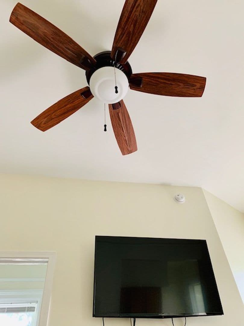 Ithaca Apartment: 232 S Geneva St