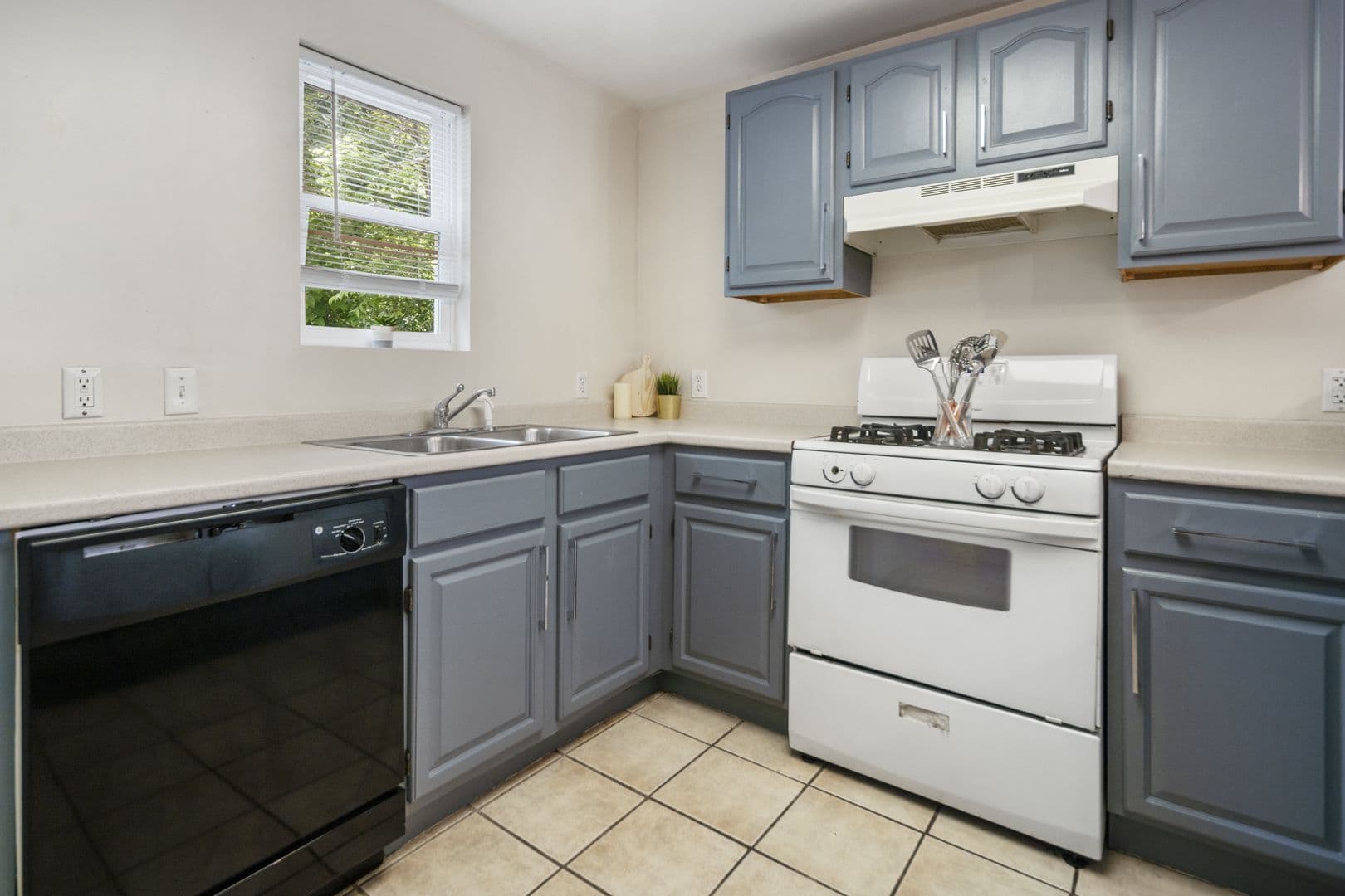 ithaca Apartment: 213-215 Columbia St
