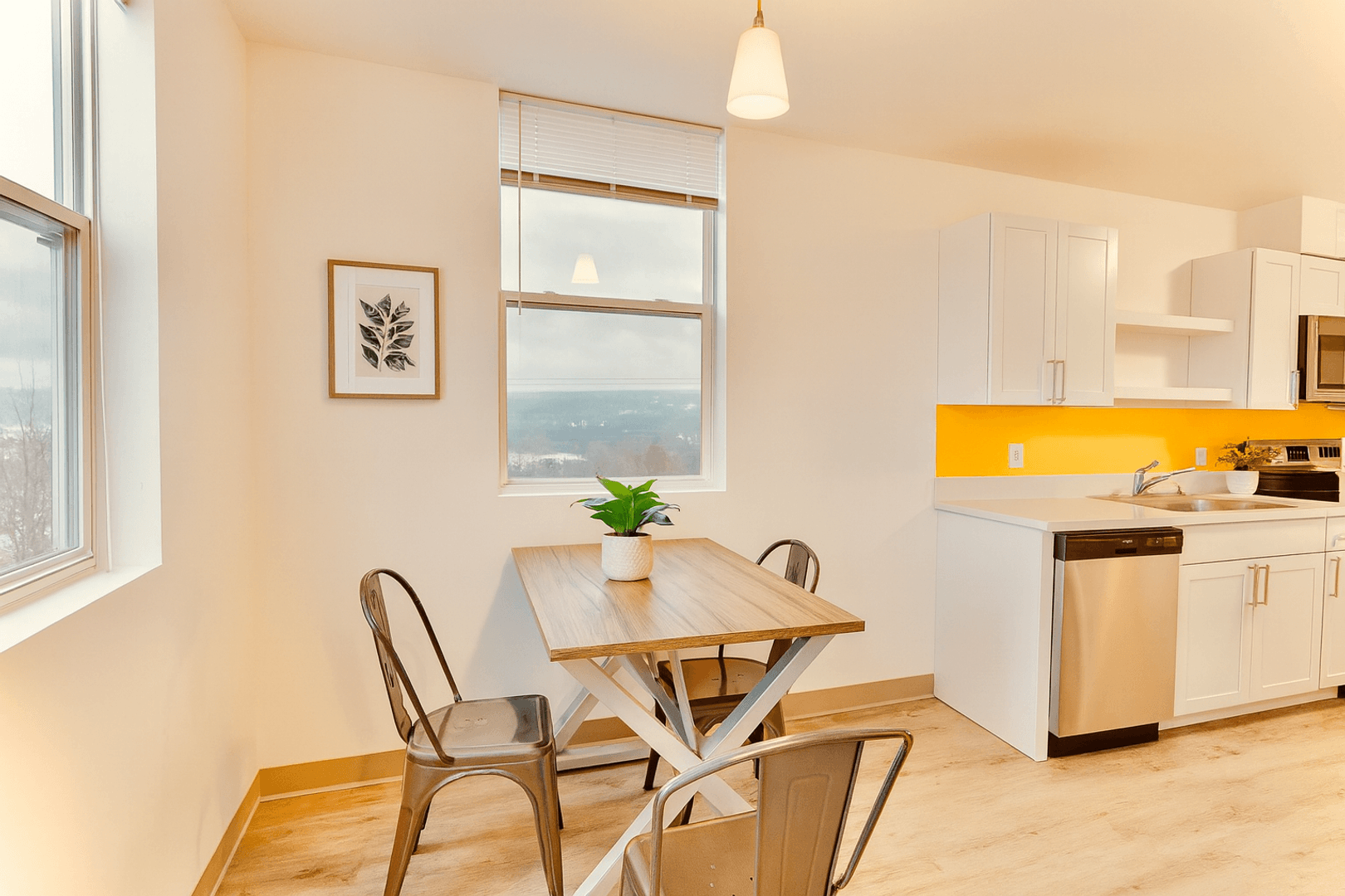 Ithaca Apartment: 815 S Aurora St