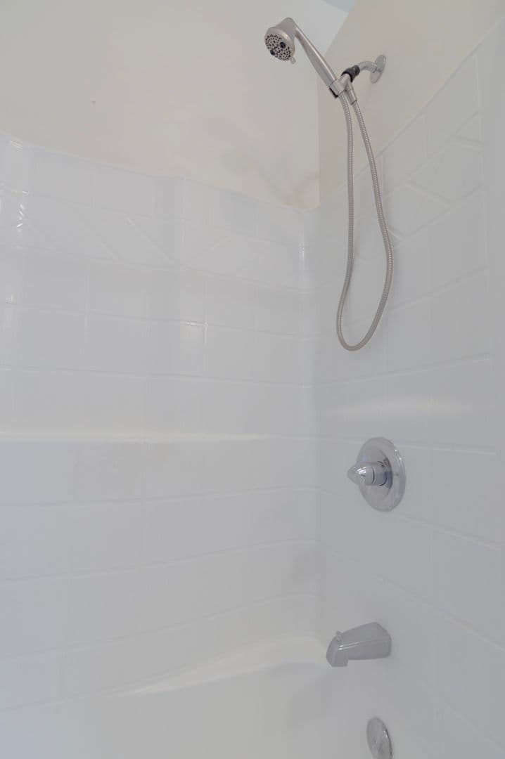 Ithaca Apartment: 232 S Geneva St