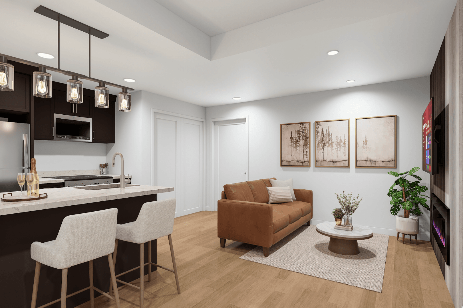 Ithaca Apartment: 215 College Ave