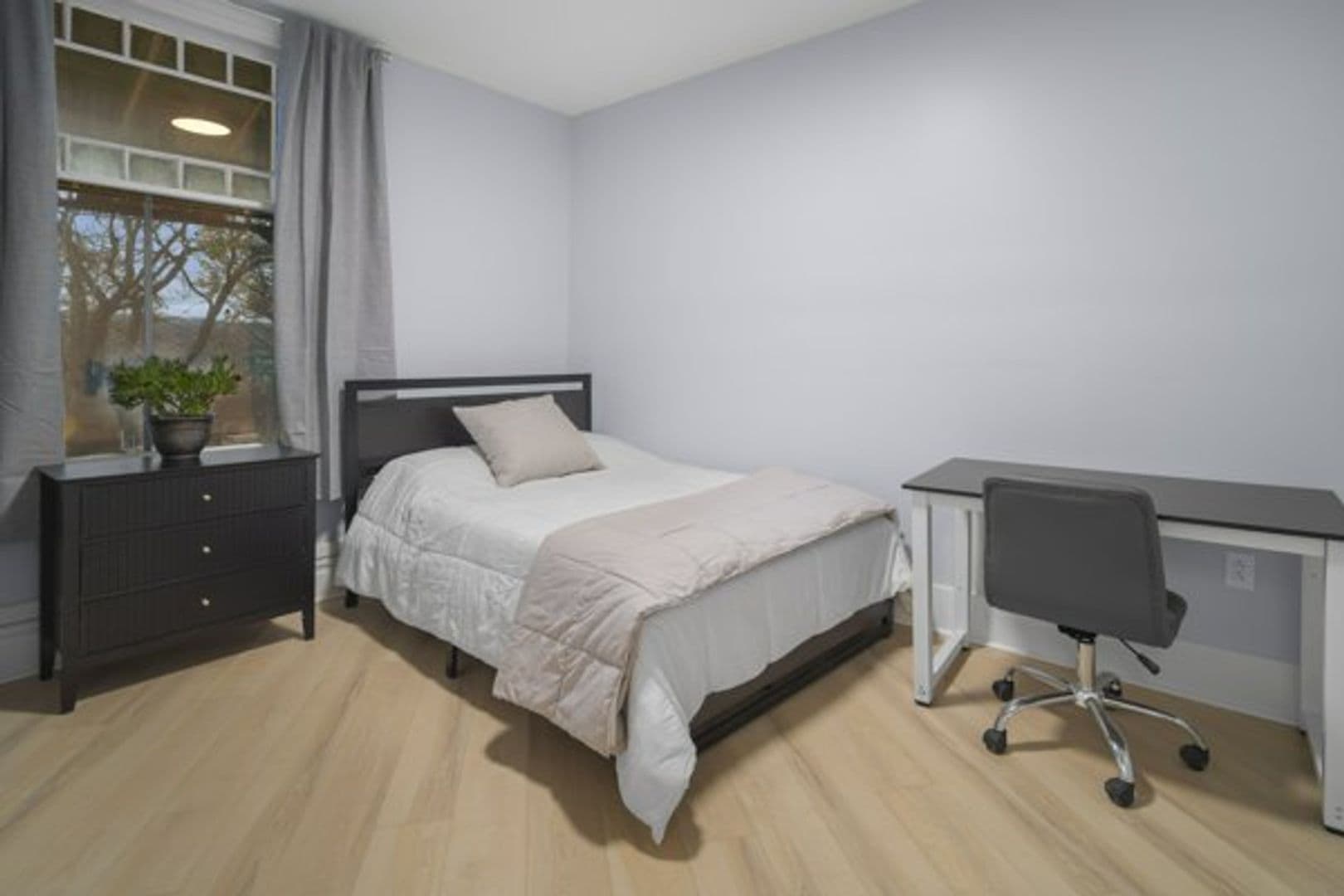 Ithaca Apartment: 702 E State St