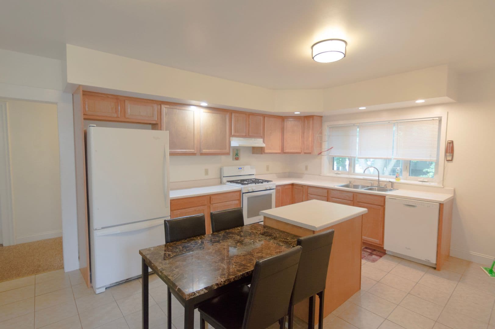 Ithaca Apartment: 232 S Geneva St