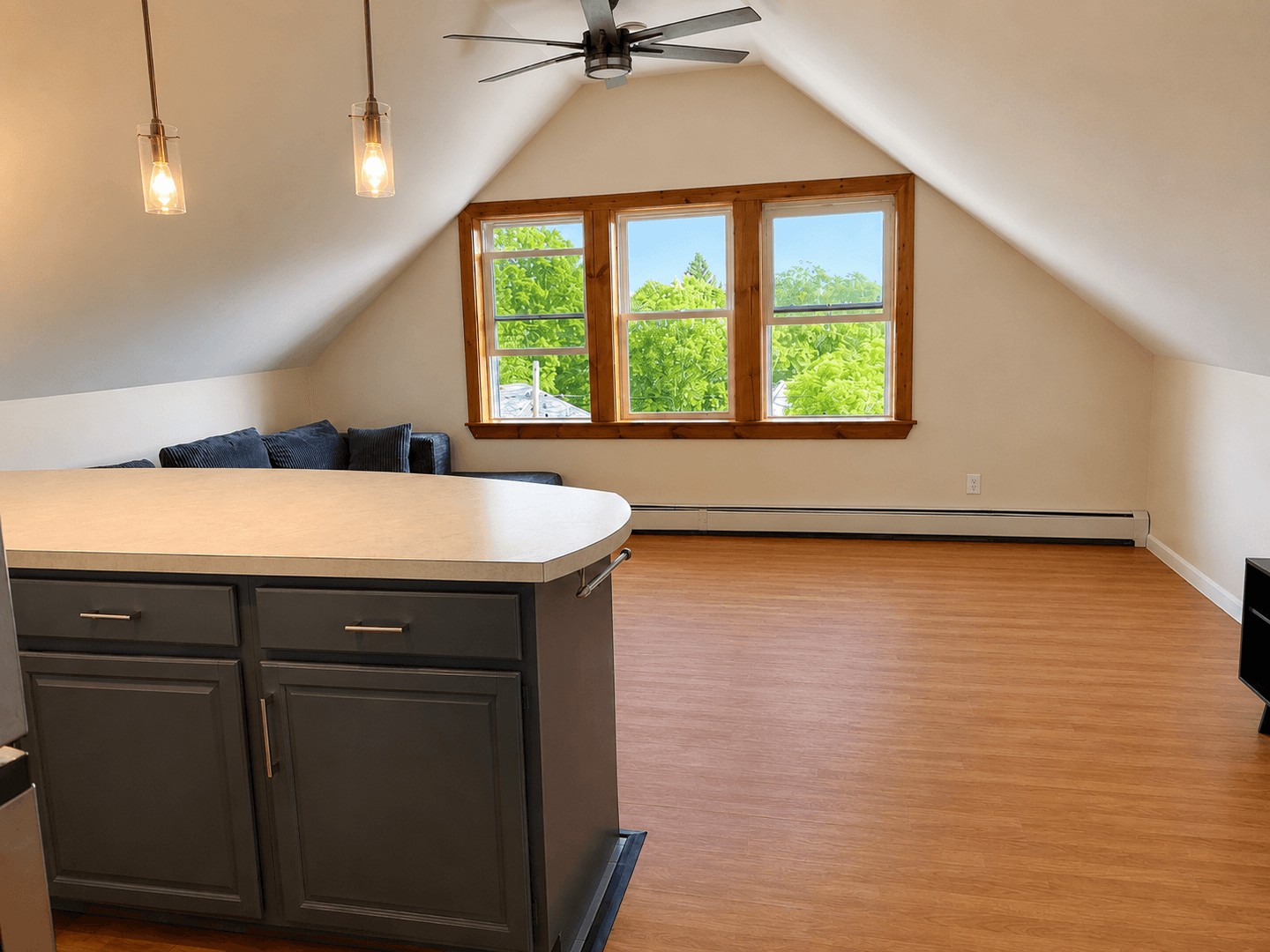ithaca Apartment: 213-215 Columbia St