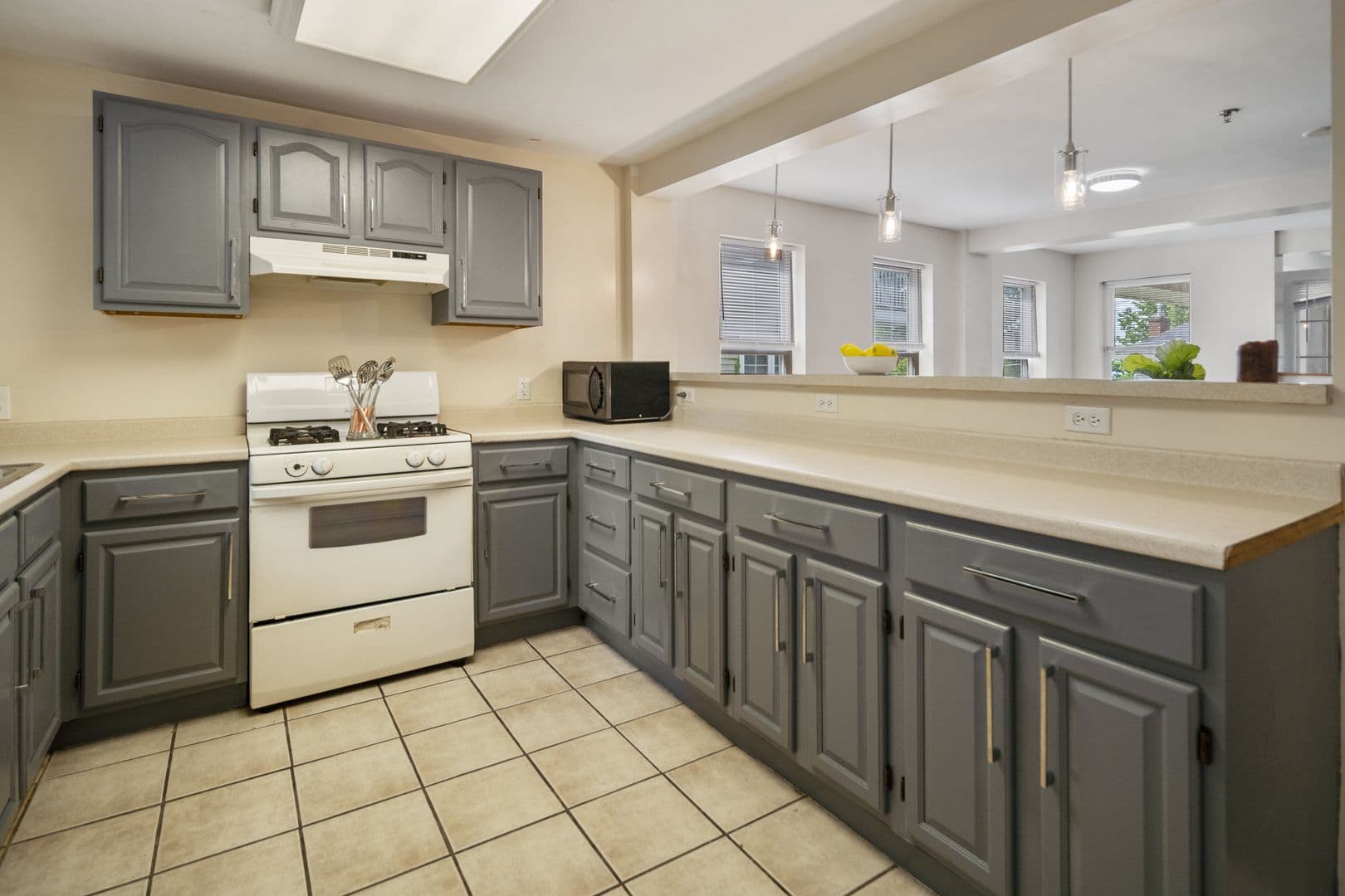 ithaca Apartment: 213-215 Columbia St