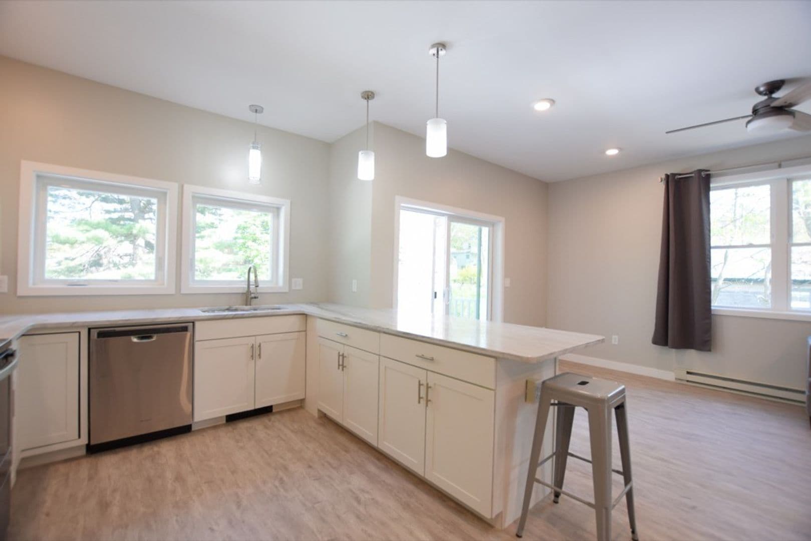Ithaca Apartment: 217 Columbia St.