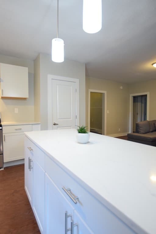 Ithaca Apartment: 1002 N. Aurora St.