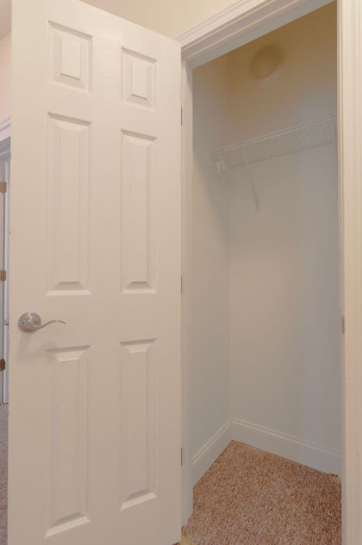 Ithaca Apartment: 232 S Geneva St