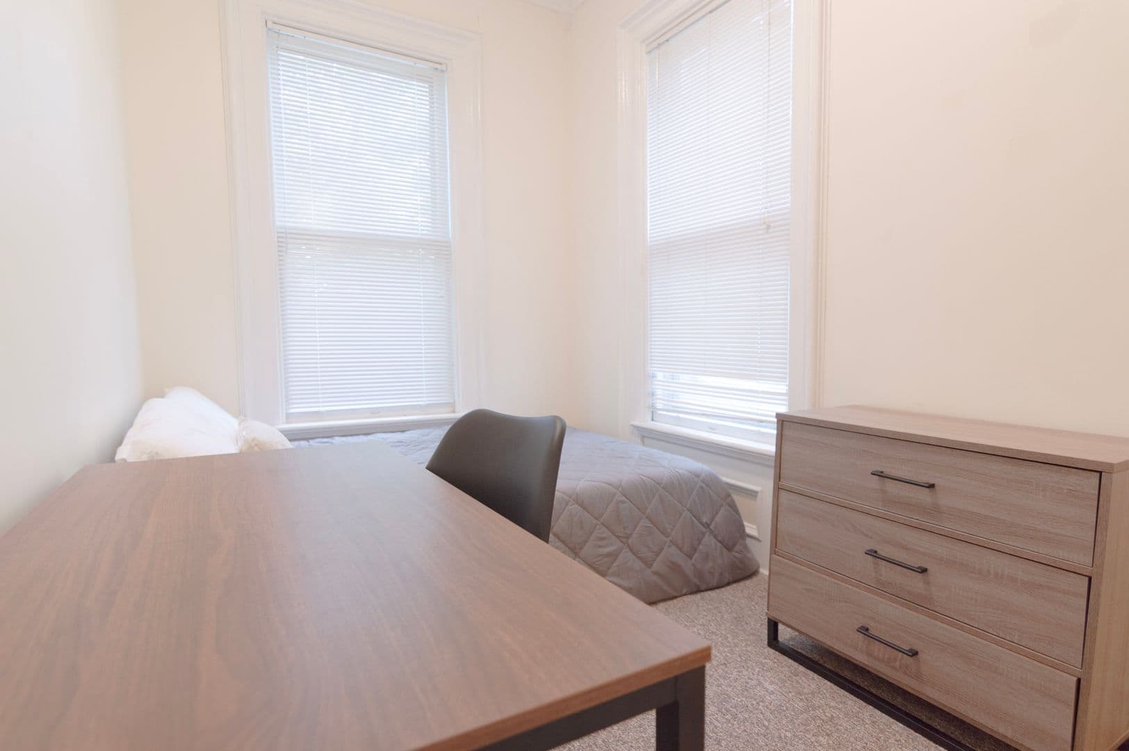 Ithaca Apartment: 232 S Geneva St