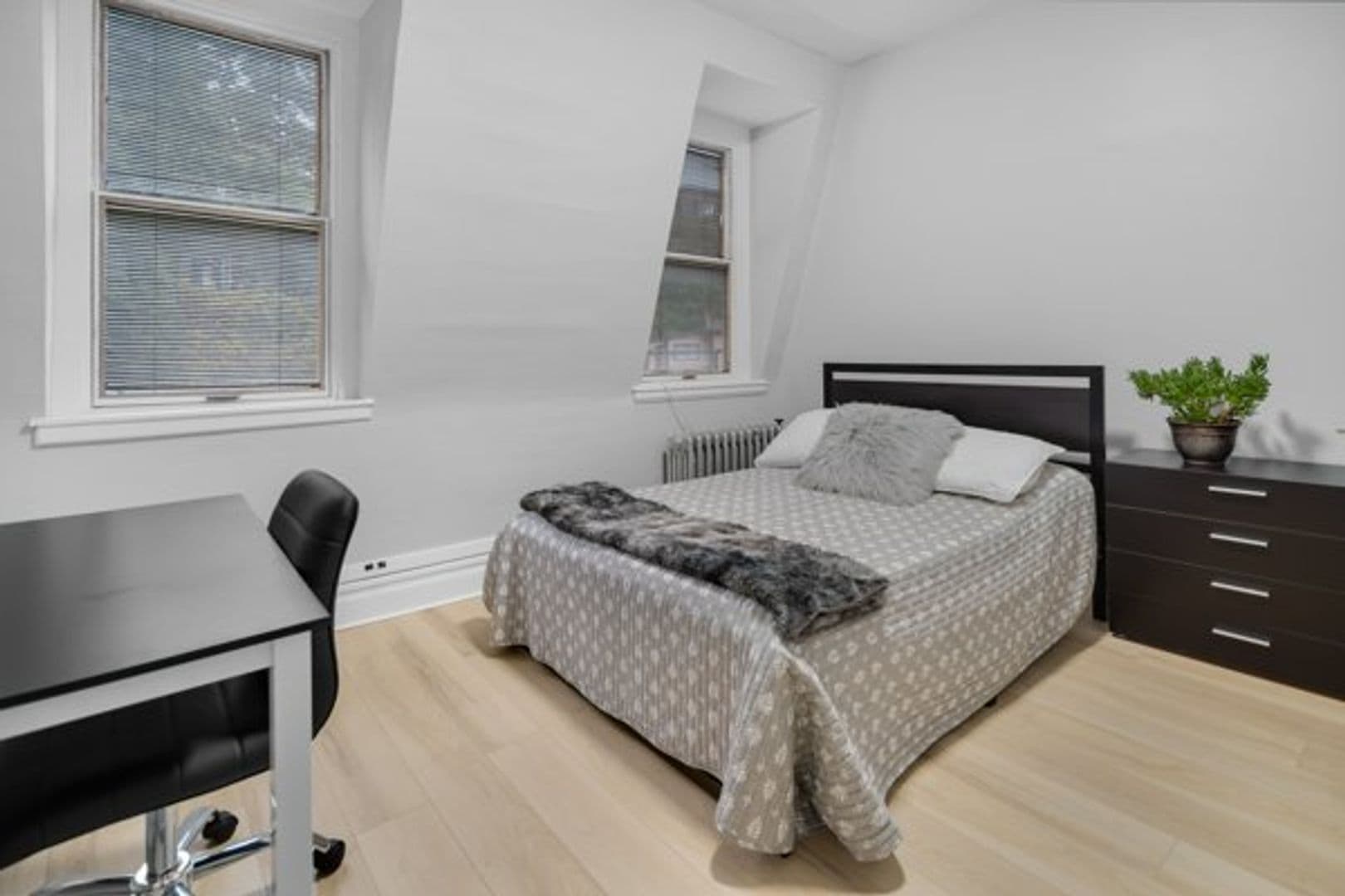 Ithaca Apartment: 702 E State St