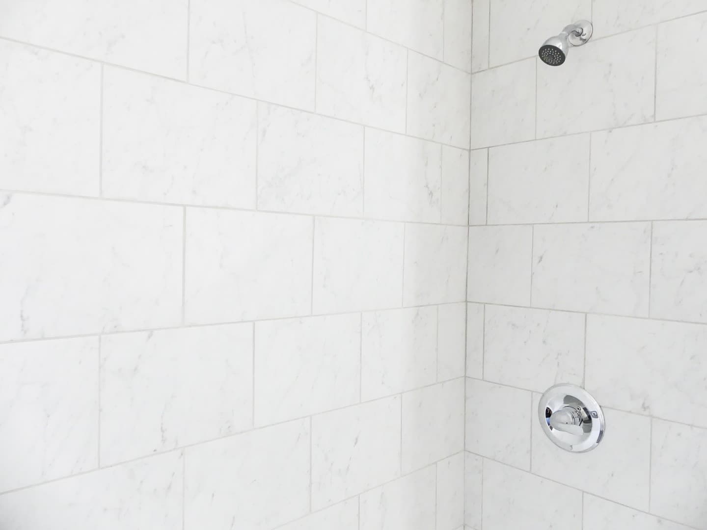 Ithaca Apartment: 313 Farm St.
