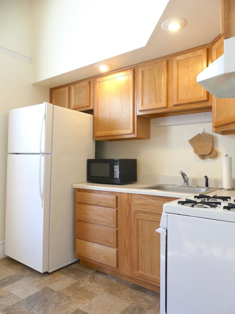 Ithaca Apartment: 232 S Geneva St