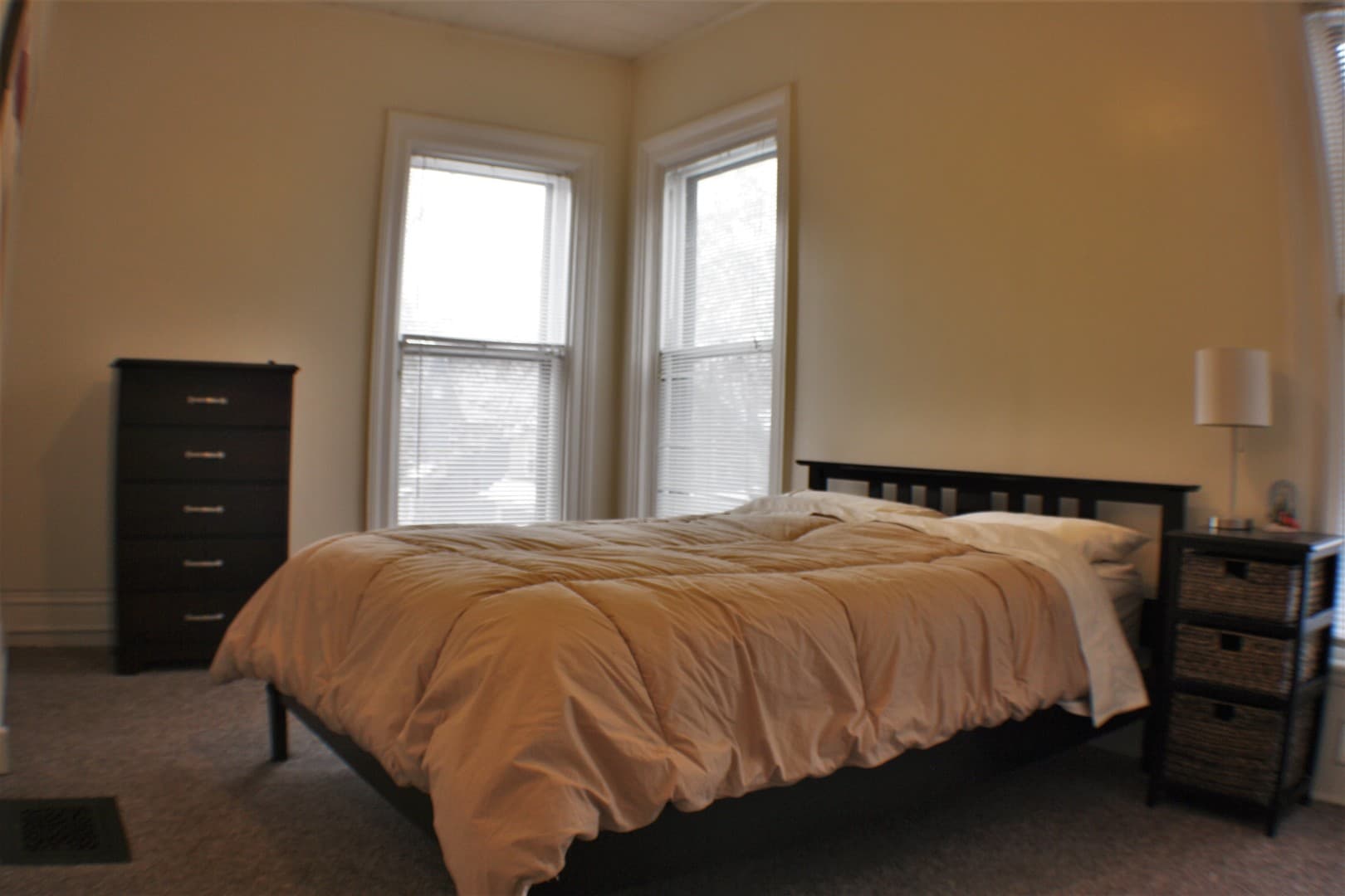 Ithaca Apartment: 232 S Geneva St