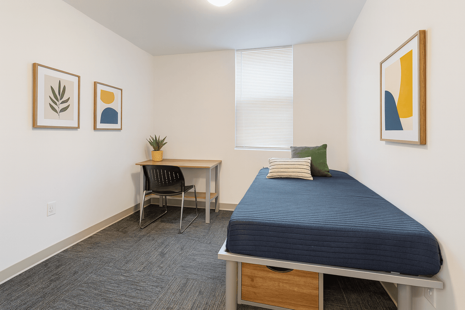 Ithaca Apartment: 815 S Aurora St