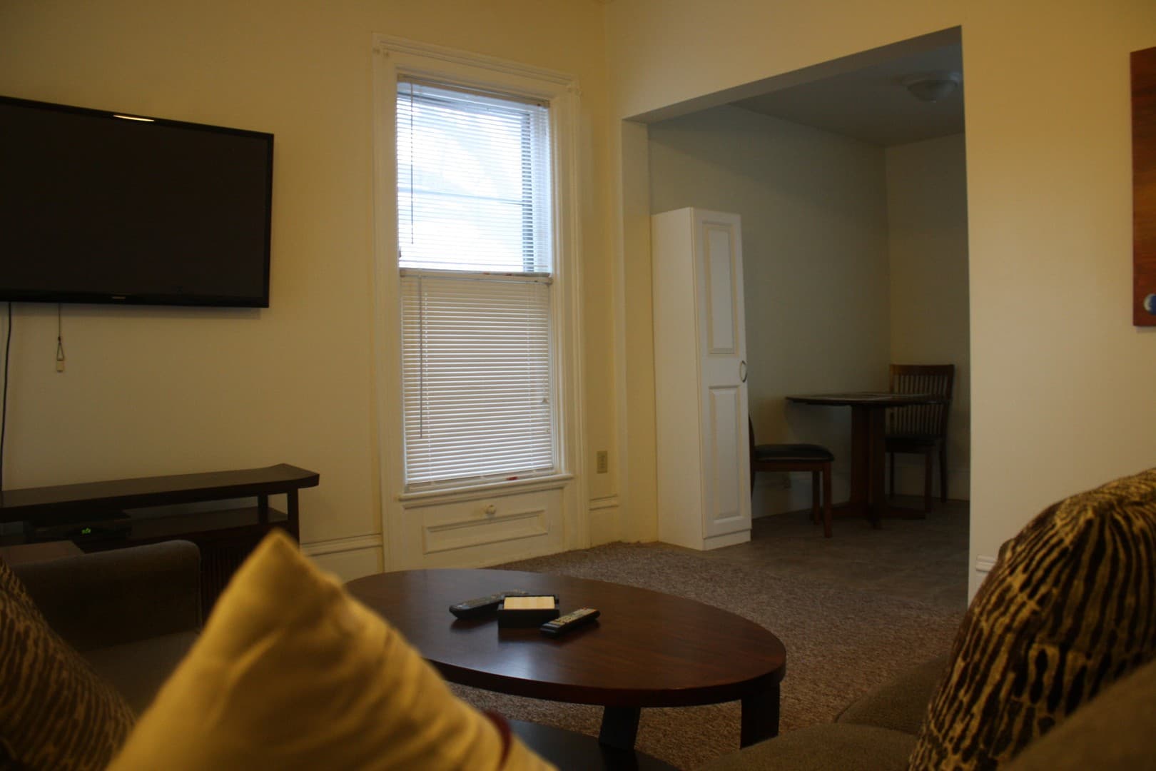 Ithaca Apartment: 232 S Geneva St