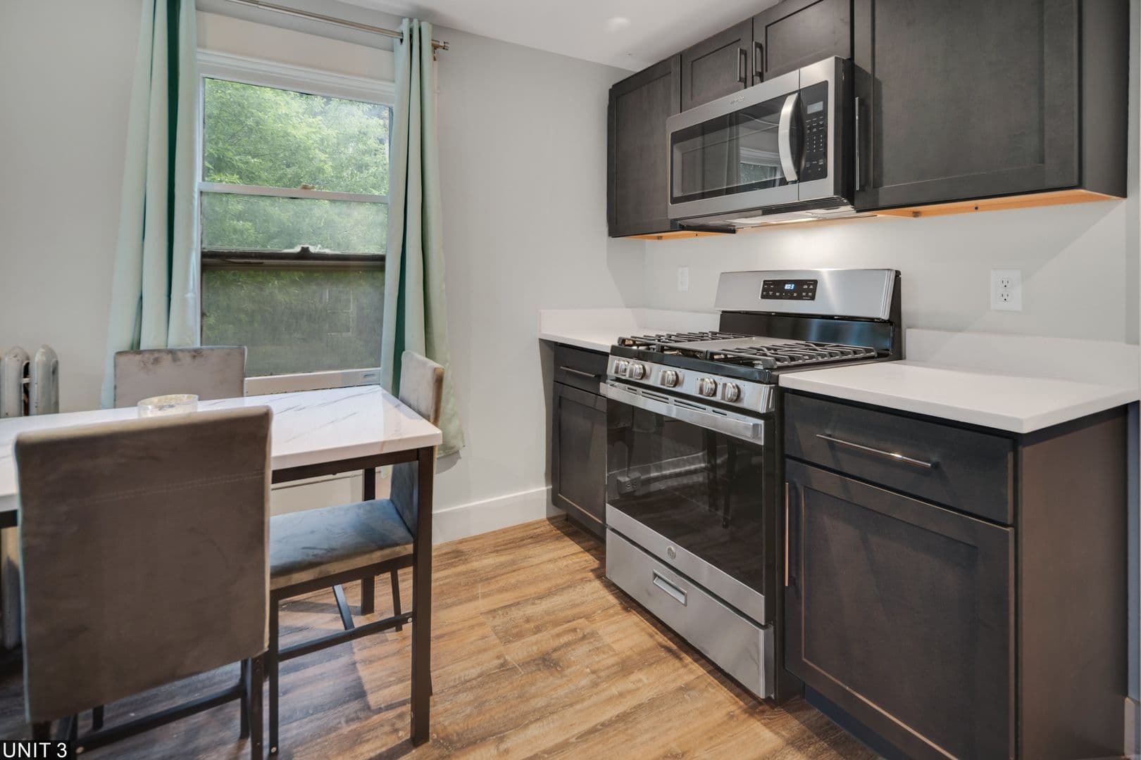 Ithaca Apartment: 109 Williams St